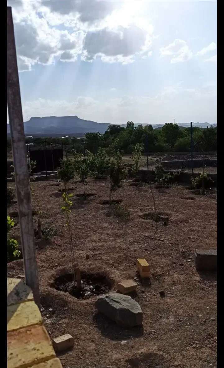 باغچه میم