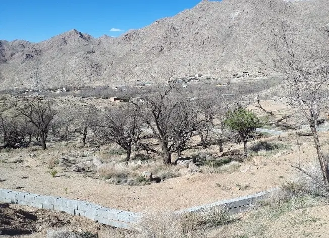 زمین فروشی
