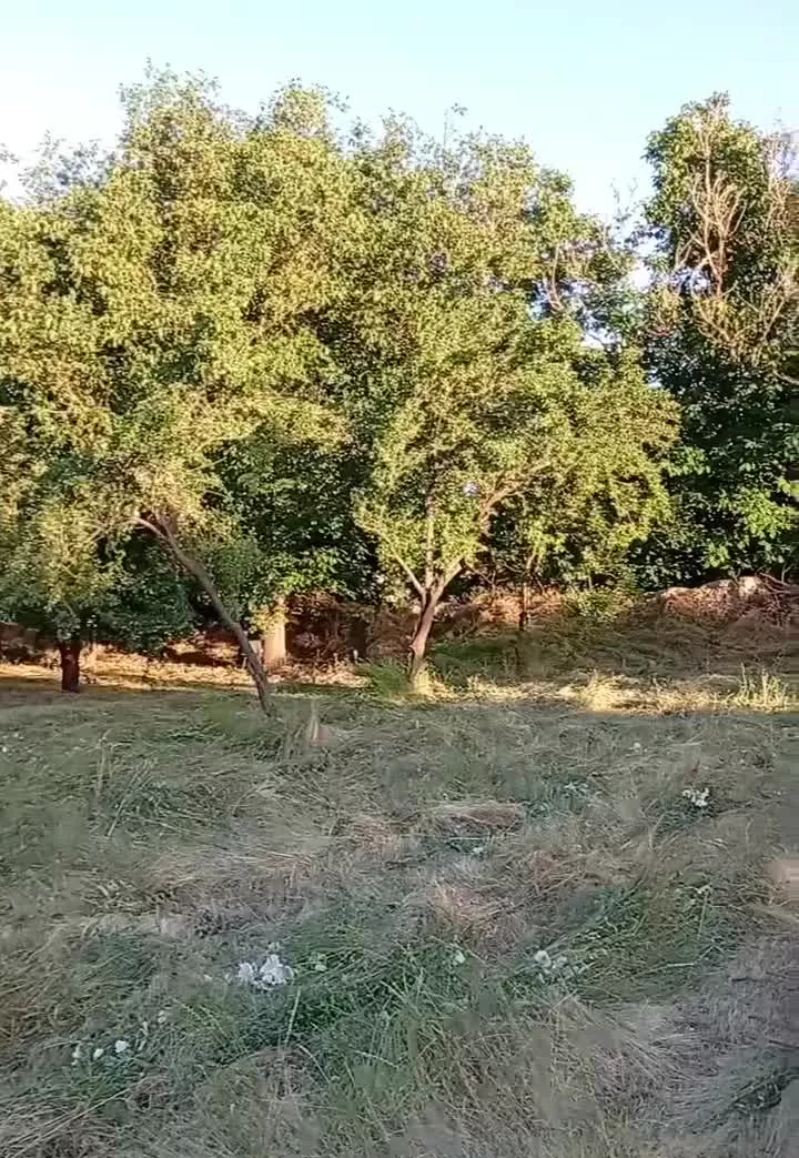باغ‌شش‌دانک‌سند‌معروف به باغ خان