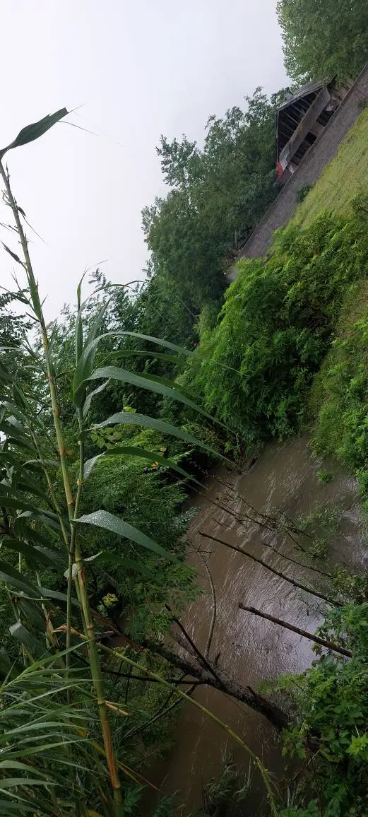 یک قطعه زمین باویوعالی روستایی