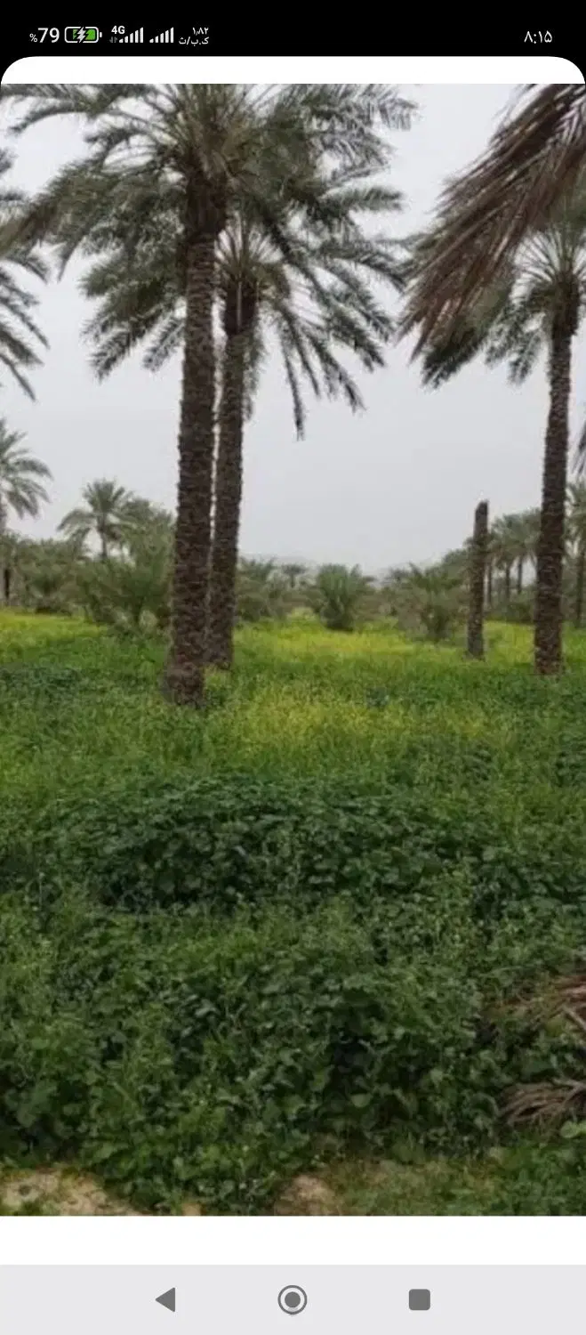 فروش زمین تجاری دو بر در کاکی بادوله با متراژ 255