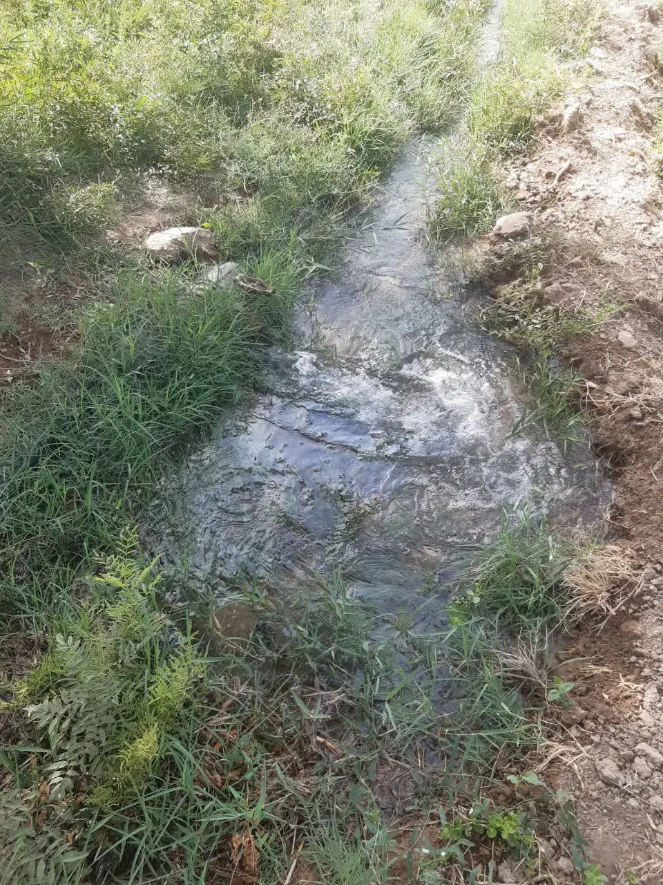 فروش باغ انار