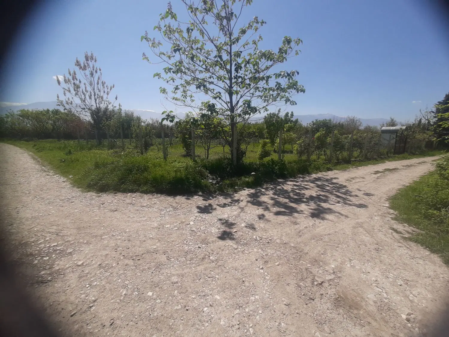 زمین باغی ۶۷۵ متر
