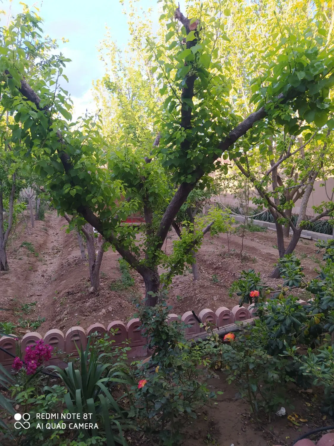 فروش زمین مسکونی