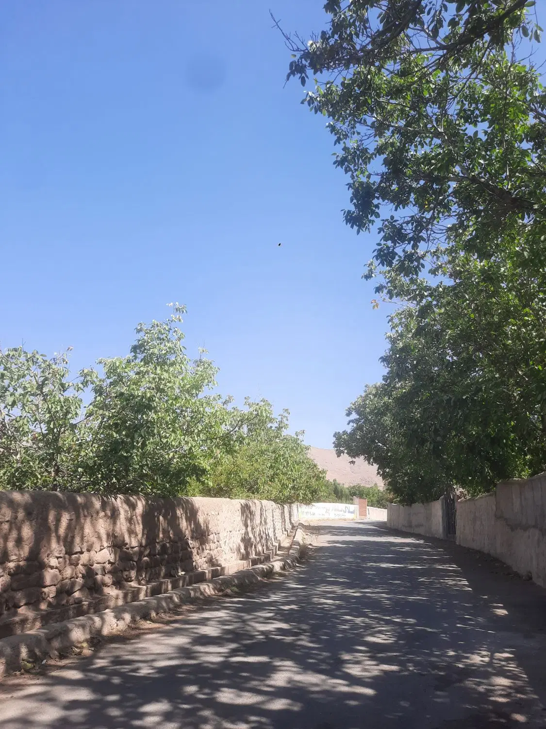 ۴۵۰متر فشند بر سنگ میان