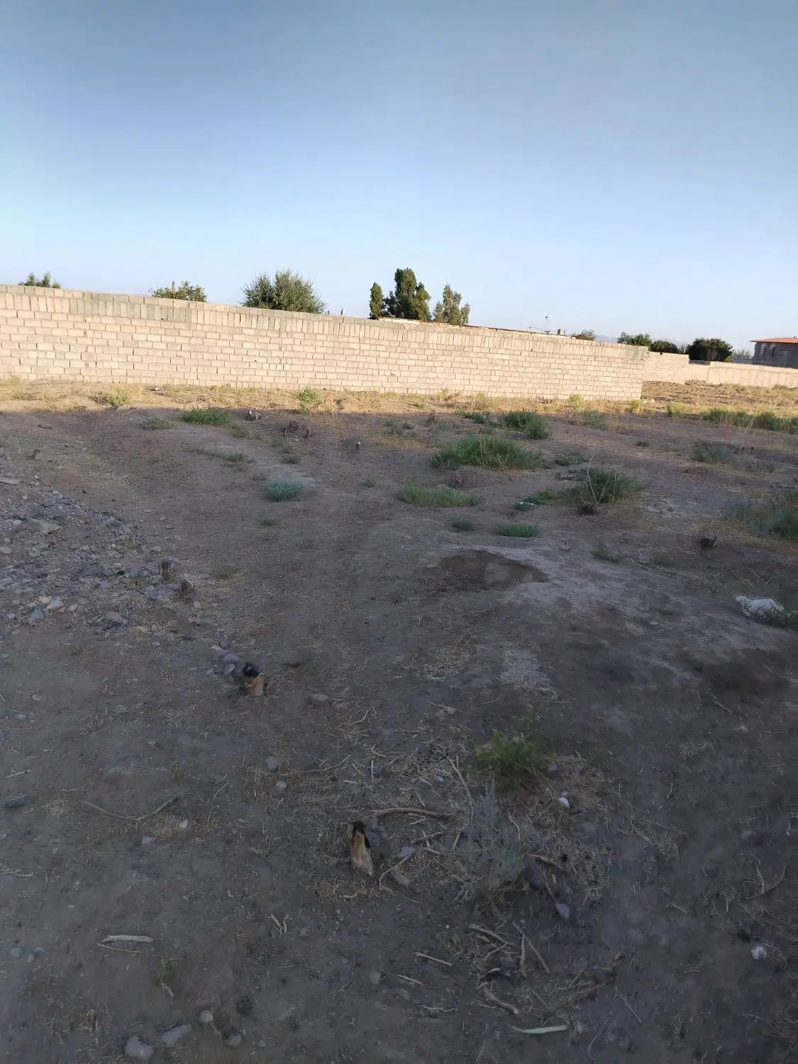 زمین شریف آباد
