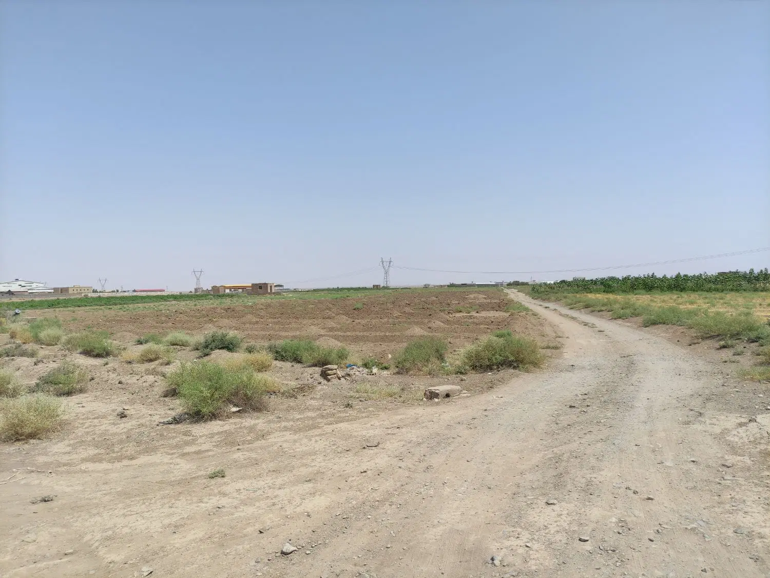 ۴ ساعت آب و حدود ۴ هکتار زمین کشاورزی دایحق