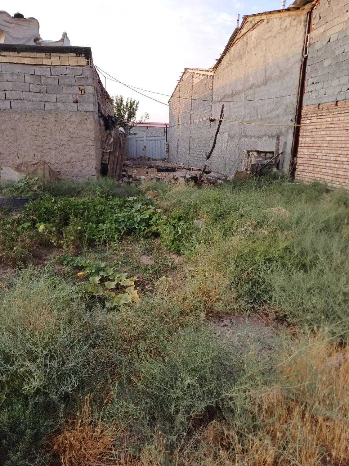 فروش قطعه 440 متری در سردرود بوتان گاز دو بر