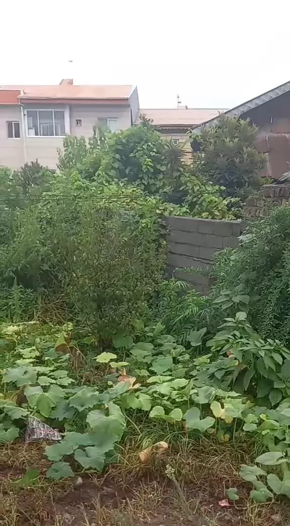 زمین بر جاده اصلی رودبنه