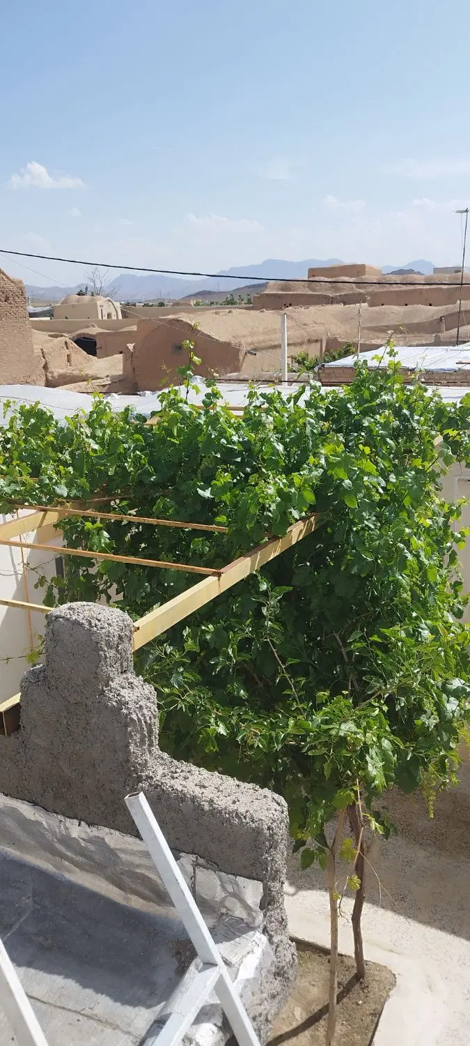 اجاره خانه دنج و با صفای روستایی مبله