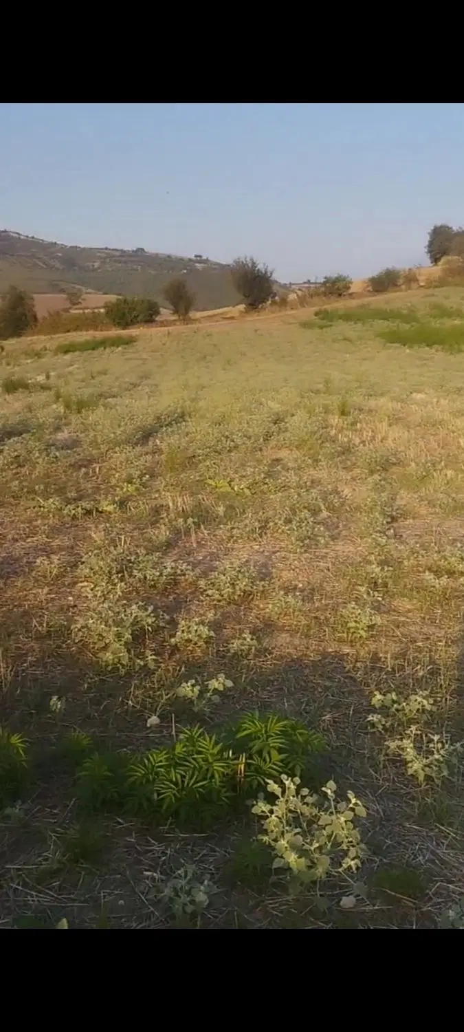 ملک کشاورزی