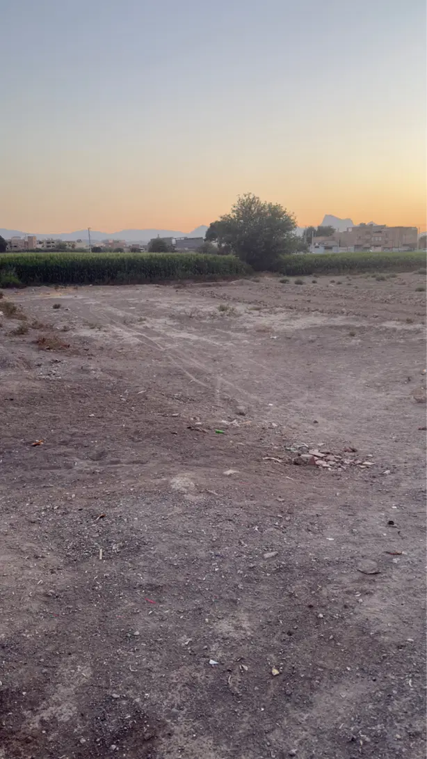 زمین کشاورزی