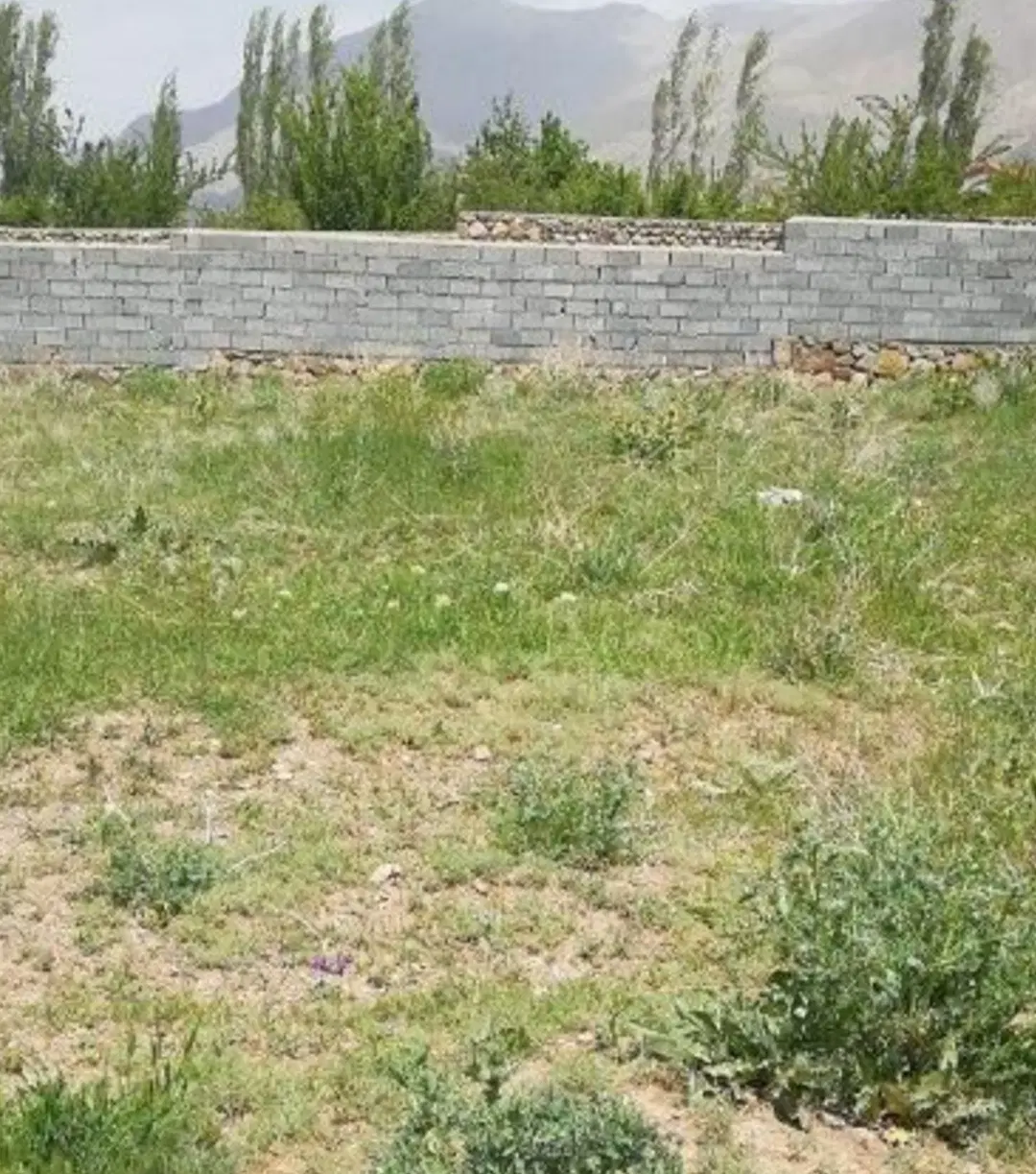 فروش زمین مشاع