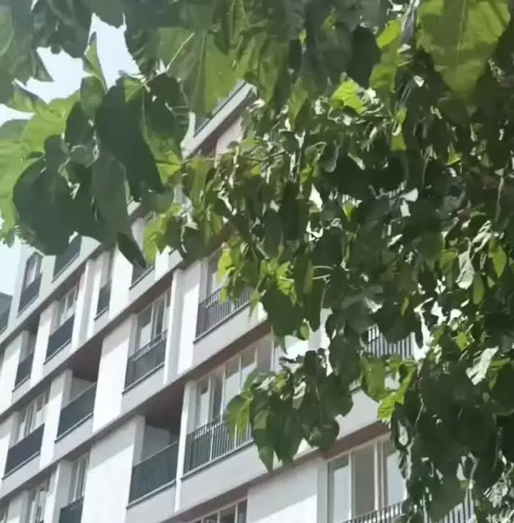 آپارتمان ۳۱۷ متر _ مهرشهر کوی مهر