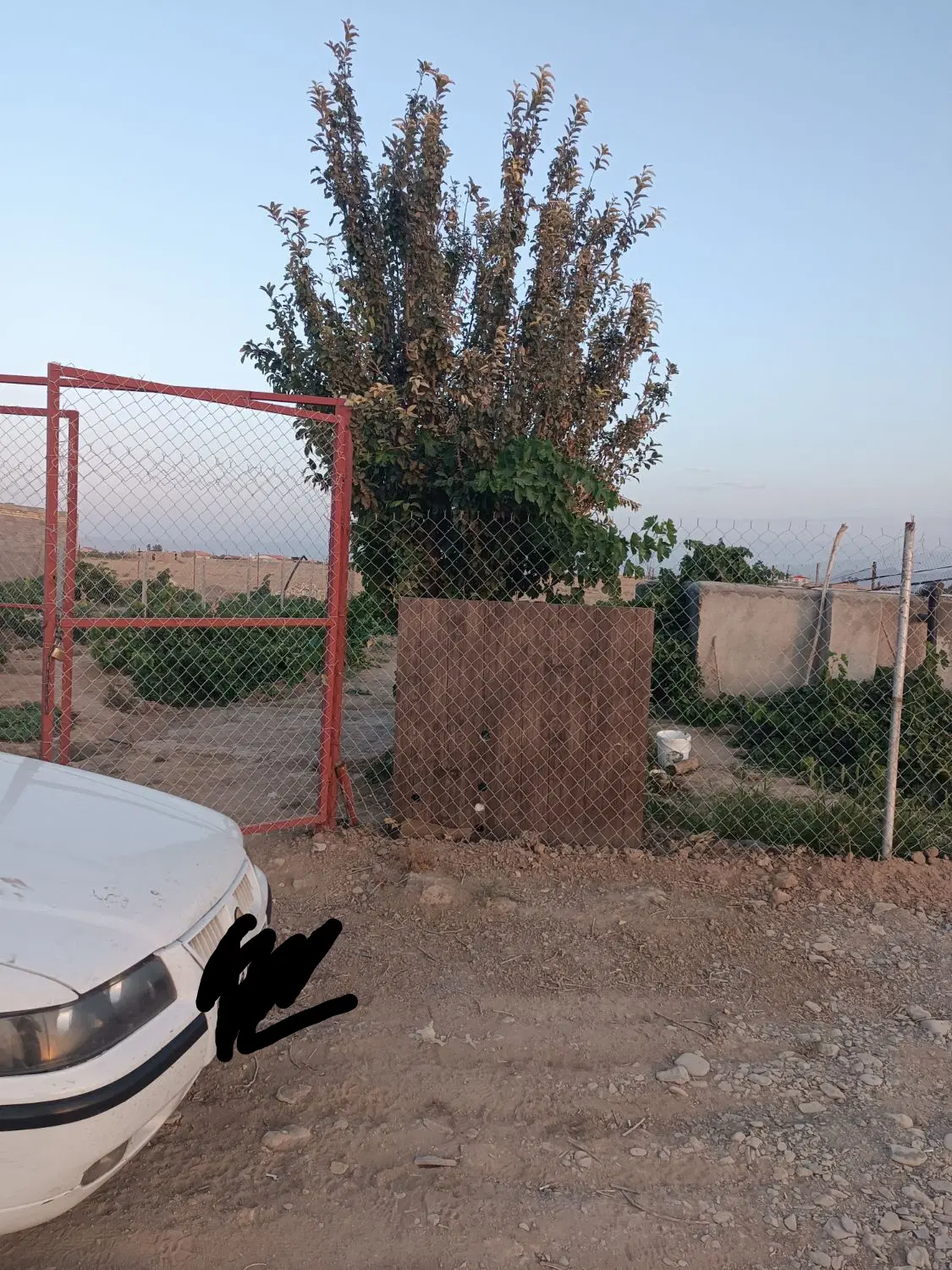 فروش باغ انگوری