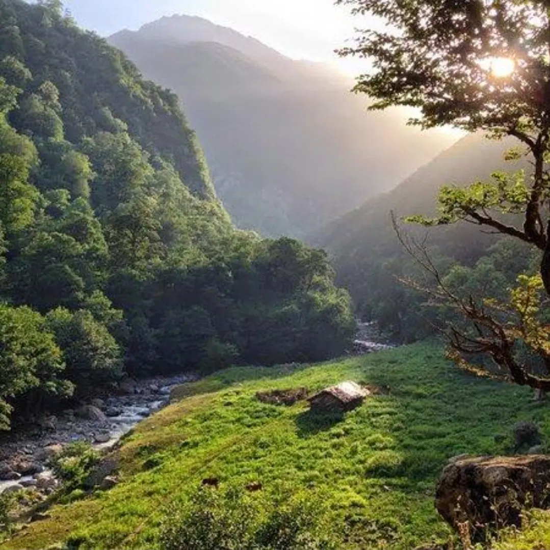 زندگی در بهشت را تجربه کنید