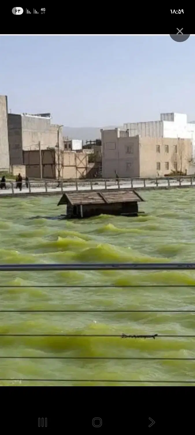 زمین شاپوری