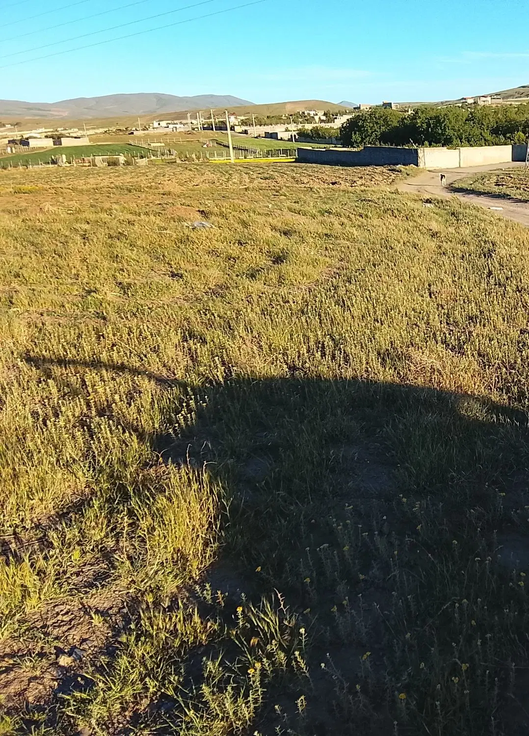 زمین ب متراژ۱۰۰۰متر در روستای چشین