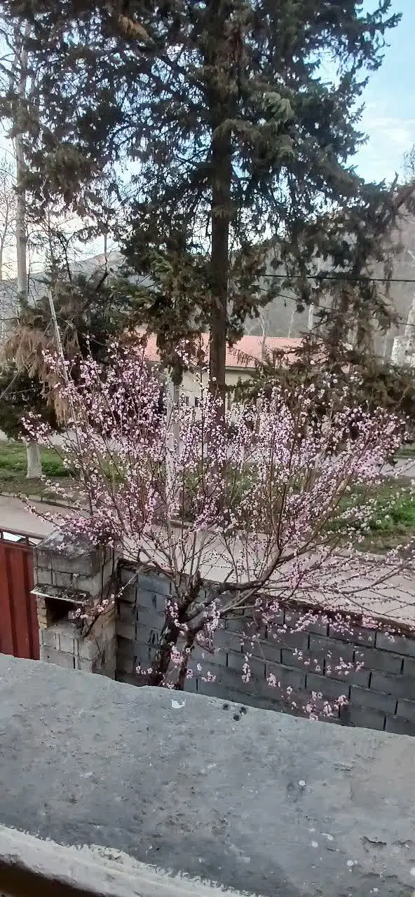 اجاره خانه ویلایی
