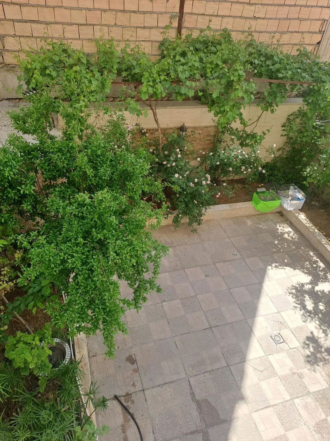 خانه‌حیاط‌دار‌۱۵۰متری