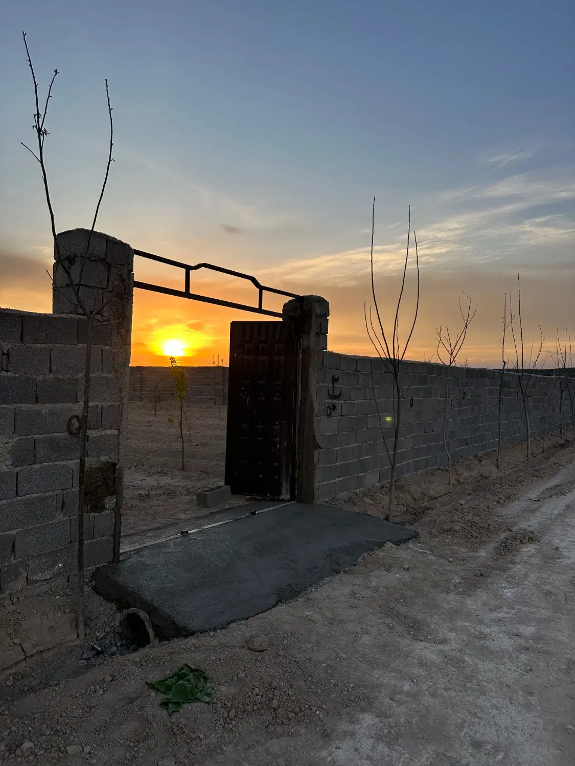 باغچه چهار دیواری  مجموعه ای
