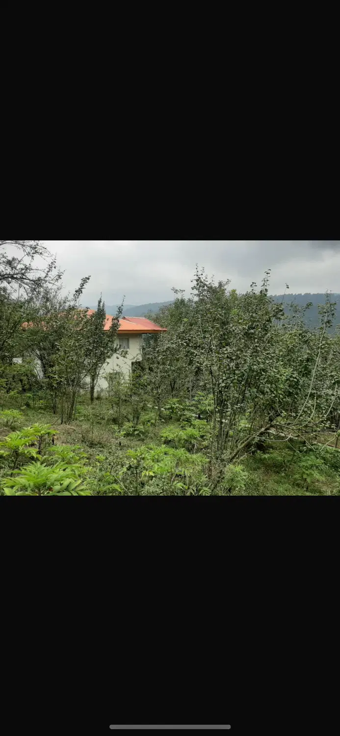 فروش ۴۰۰ متر زمین مسکونی دودانگه ساری