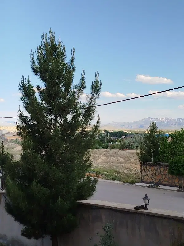 فروش زمین مسکونی در نیر ممقانی