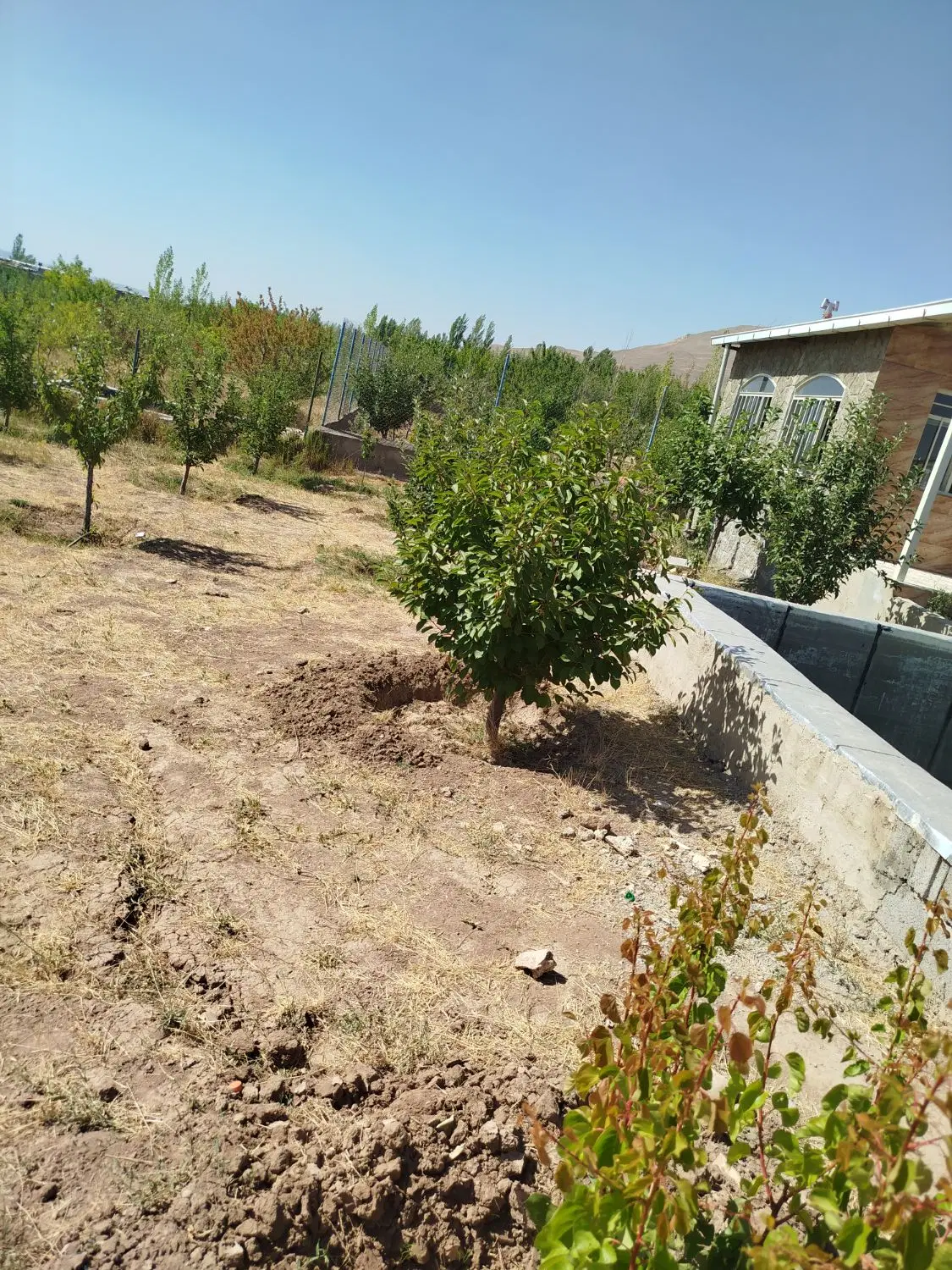 باغ ویلای نقلی دراسپیران