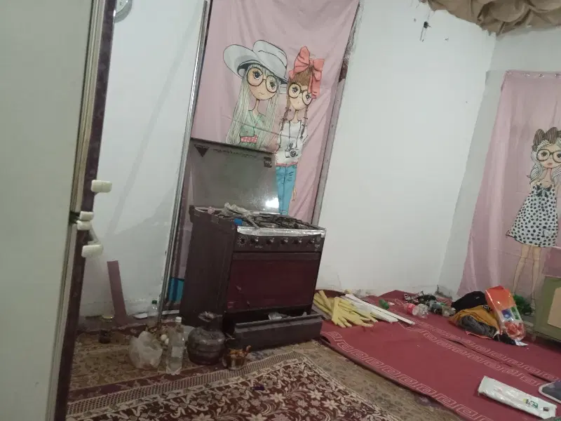 هم خانه فقط خانم