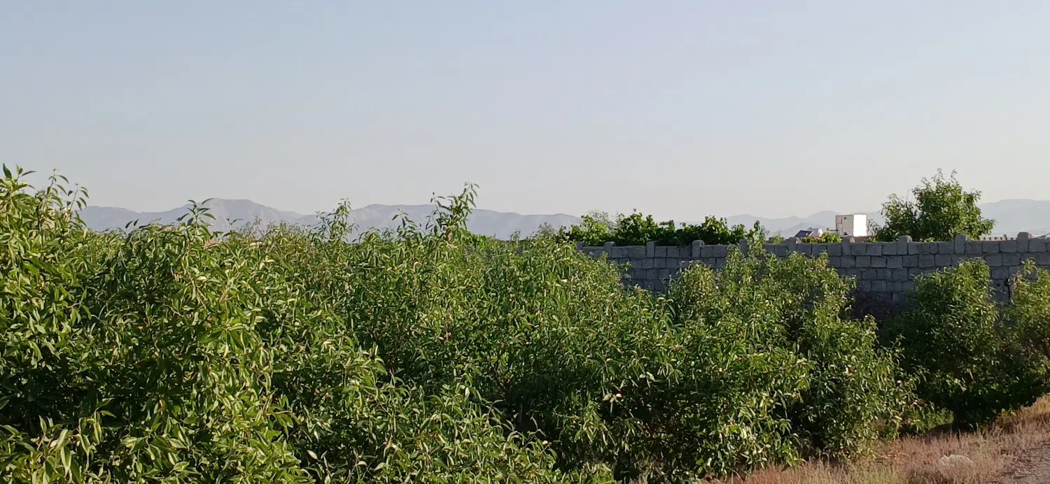 باغ زمین نزدیک شهرک صنعتی نجف اباد ۲ جوزدان