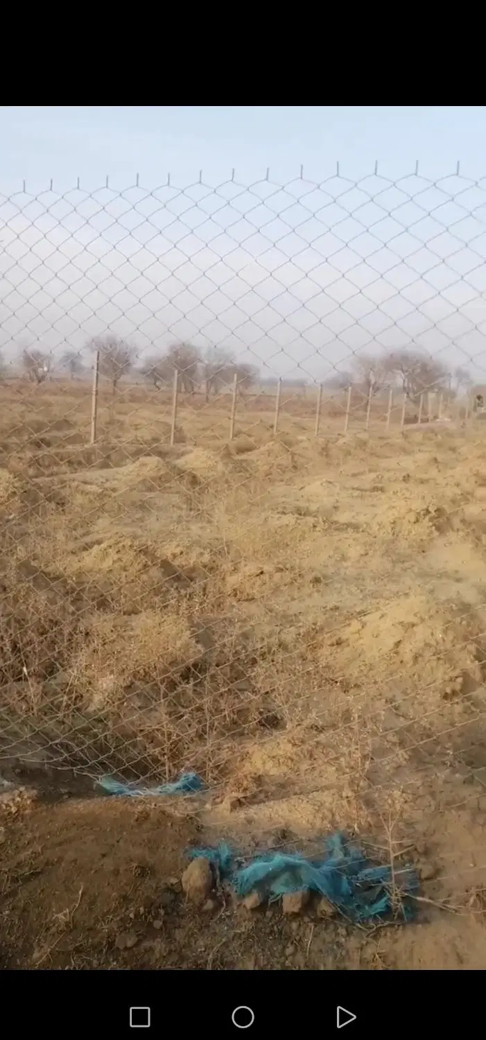 زمین باغی