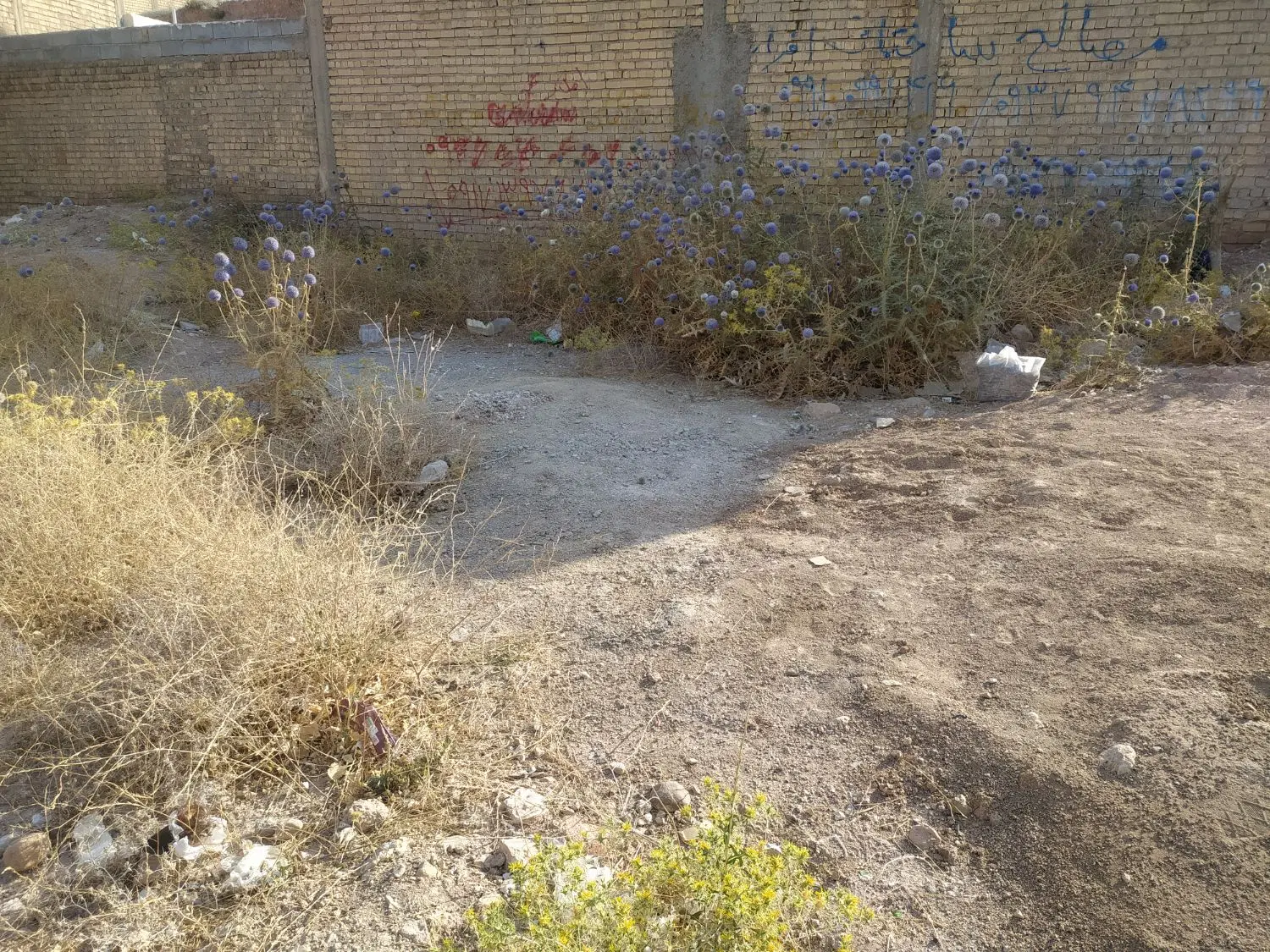 زمین