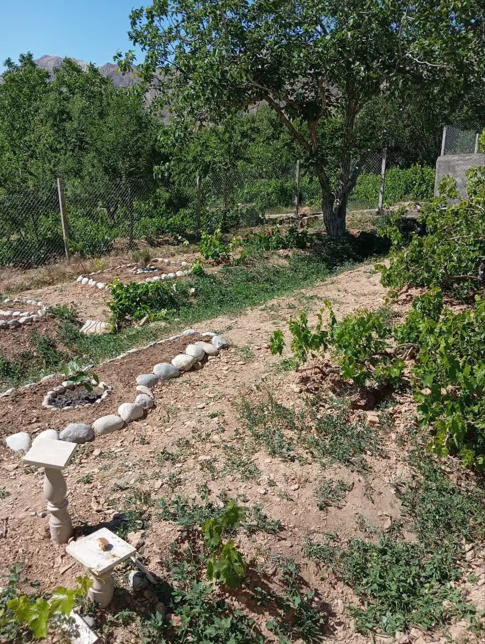 خانه باغ