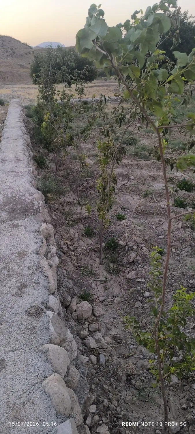 خونه باغ نیمه ساز