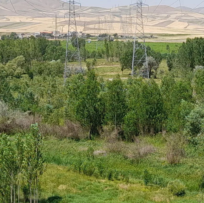 باغ فروشی قبل تفریجان