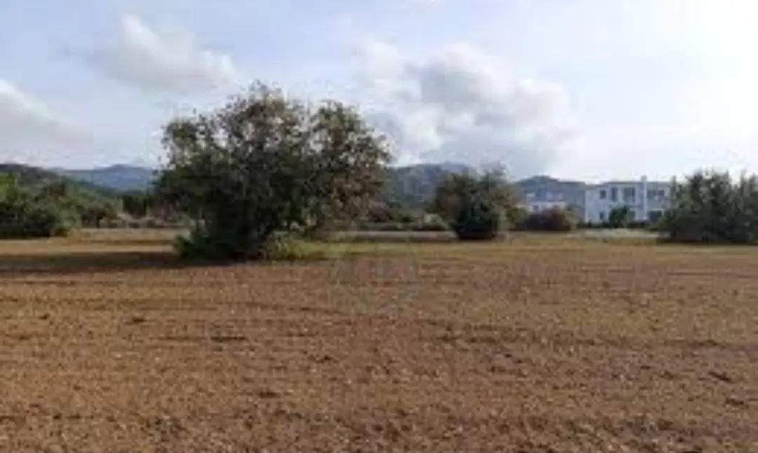 زمین مسکونی
