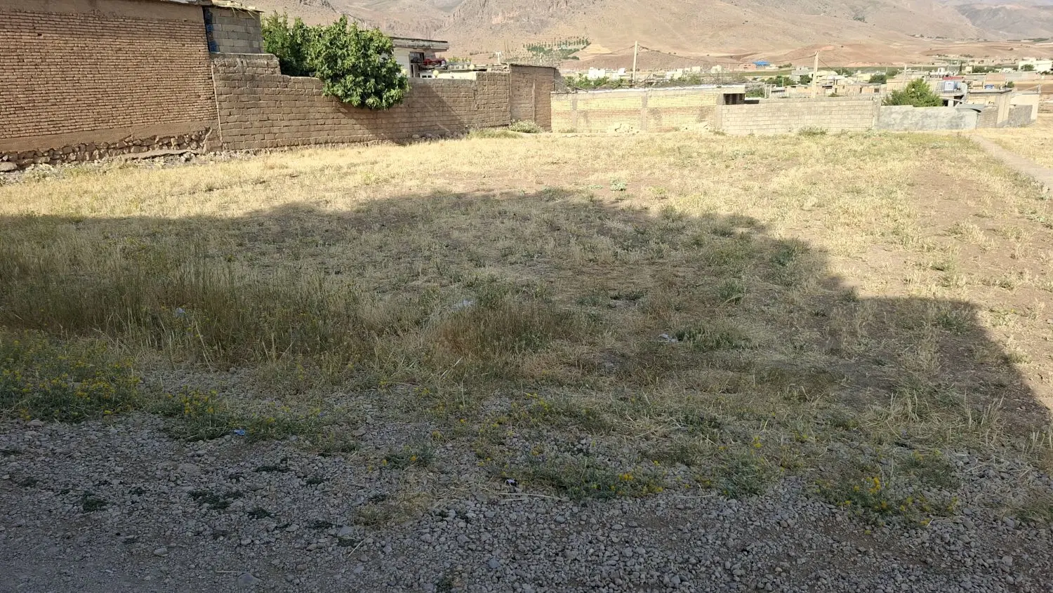 زمین