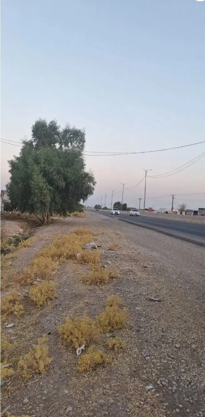 دوتاپلاک ۳۰۰متر زمین