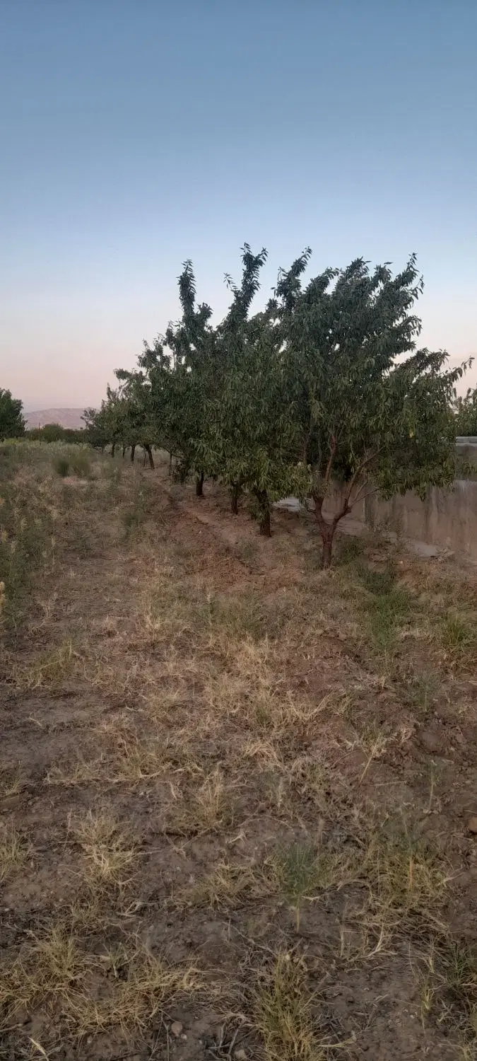 باغی دردل آبشار سرکندیزج_صوفیان