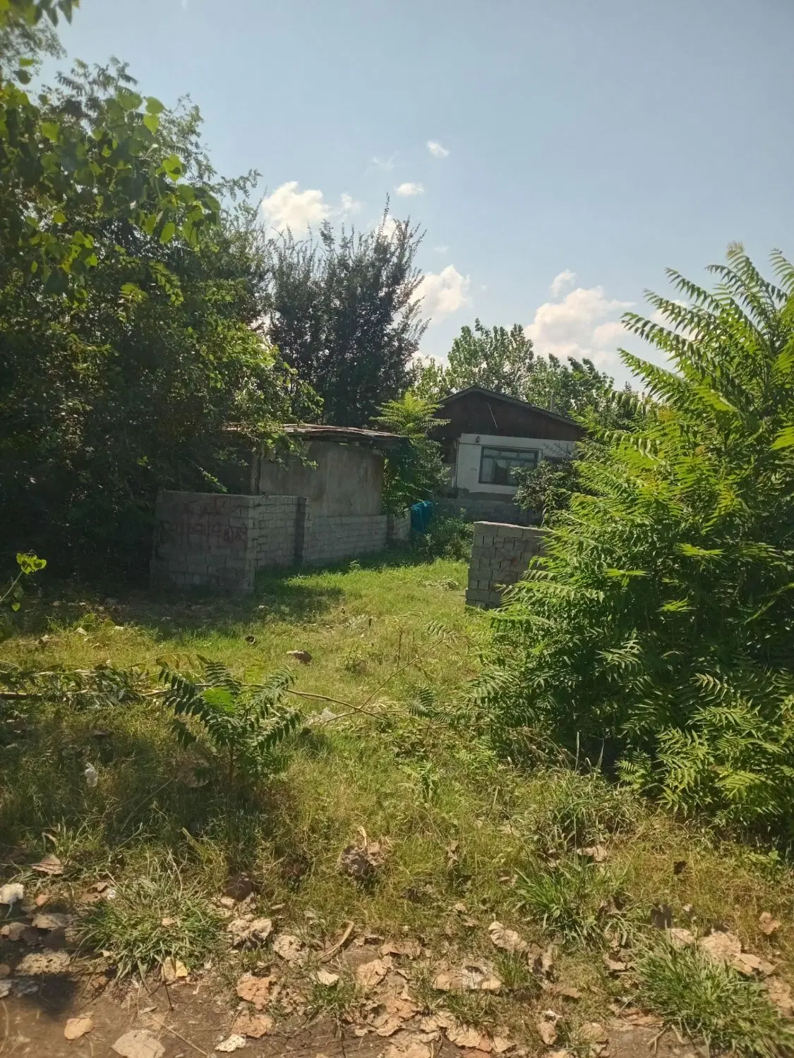 زمین مسکونی.  کوچصفهان