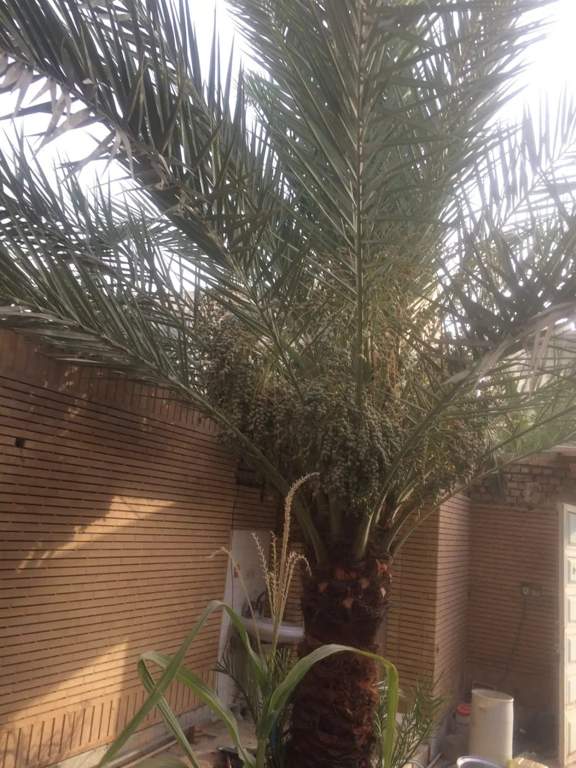 اجاره خانه دوخواب وسالن ۶۰ متری