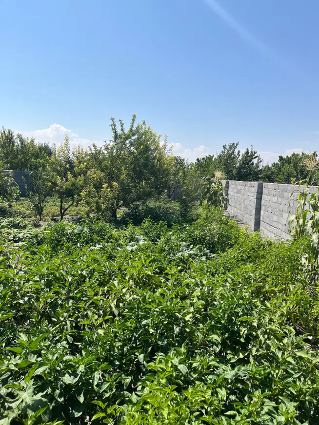 ویلا باغ آماده دوتا ساختمان