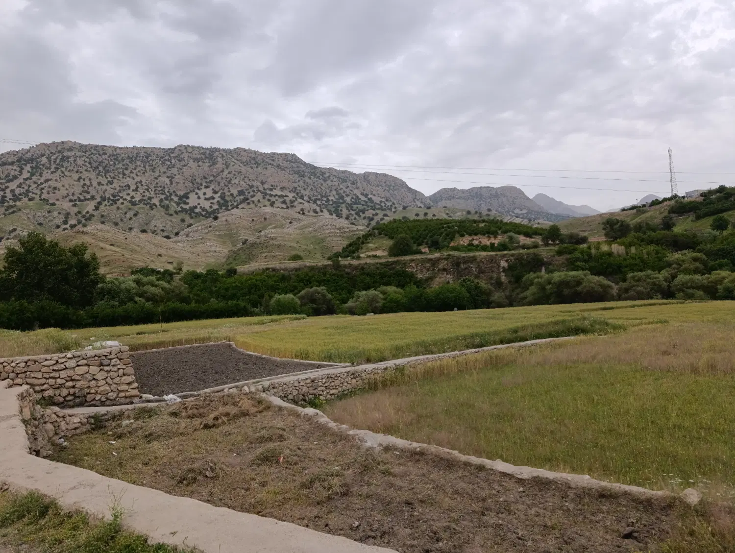 زمین کشاورزی . زراعتی