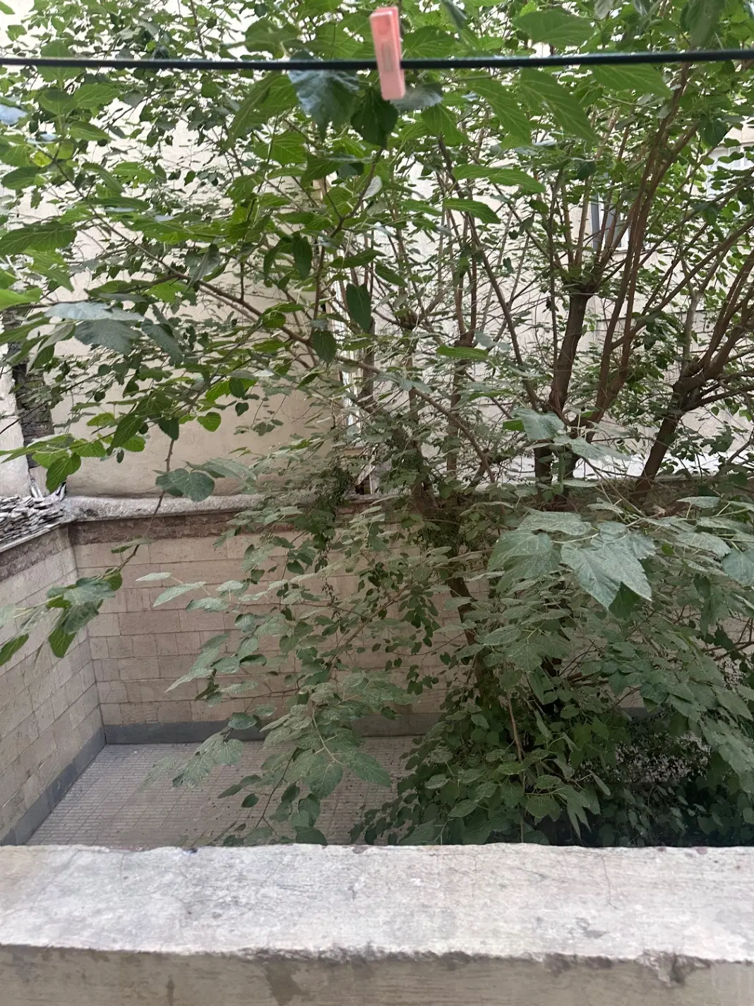 فروش کلنگی ۸۵۰ متر تک مالک