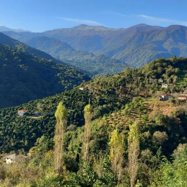 زمین  ییلاقی روستای میشاورک
