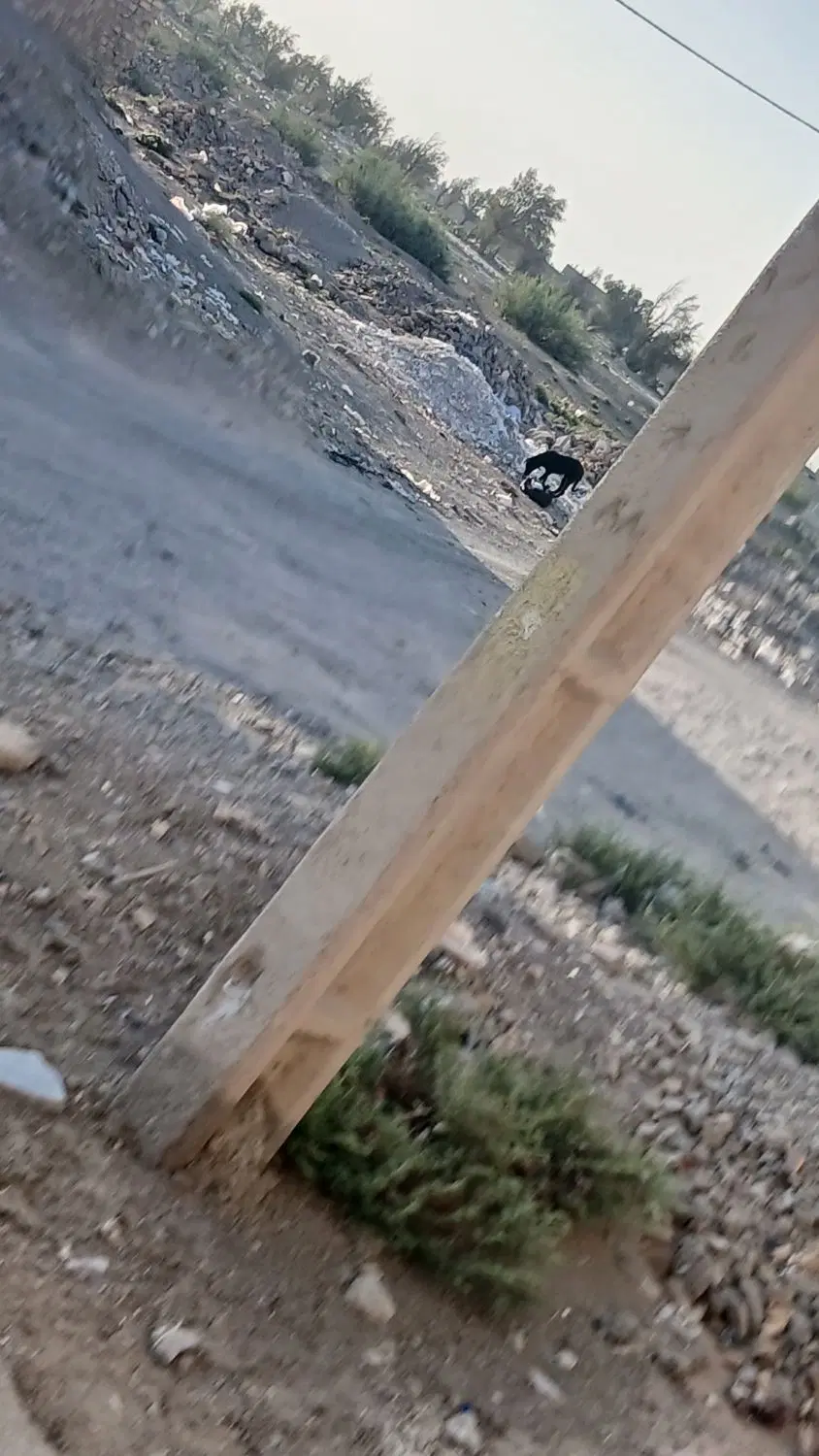 زمین دانشگاه بیست
