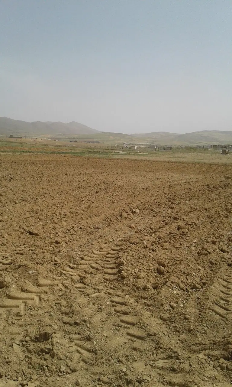زمین دیم مناسب باغ