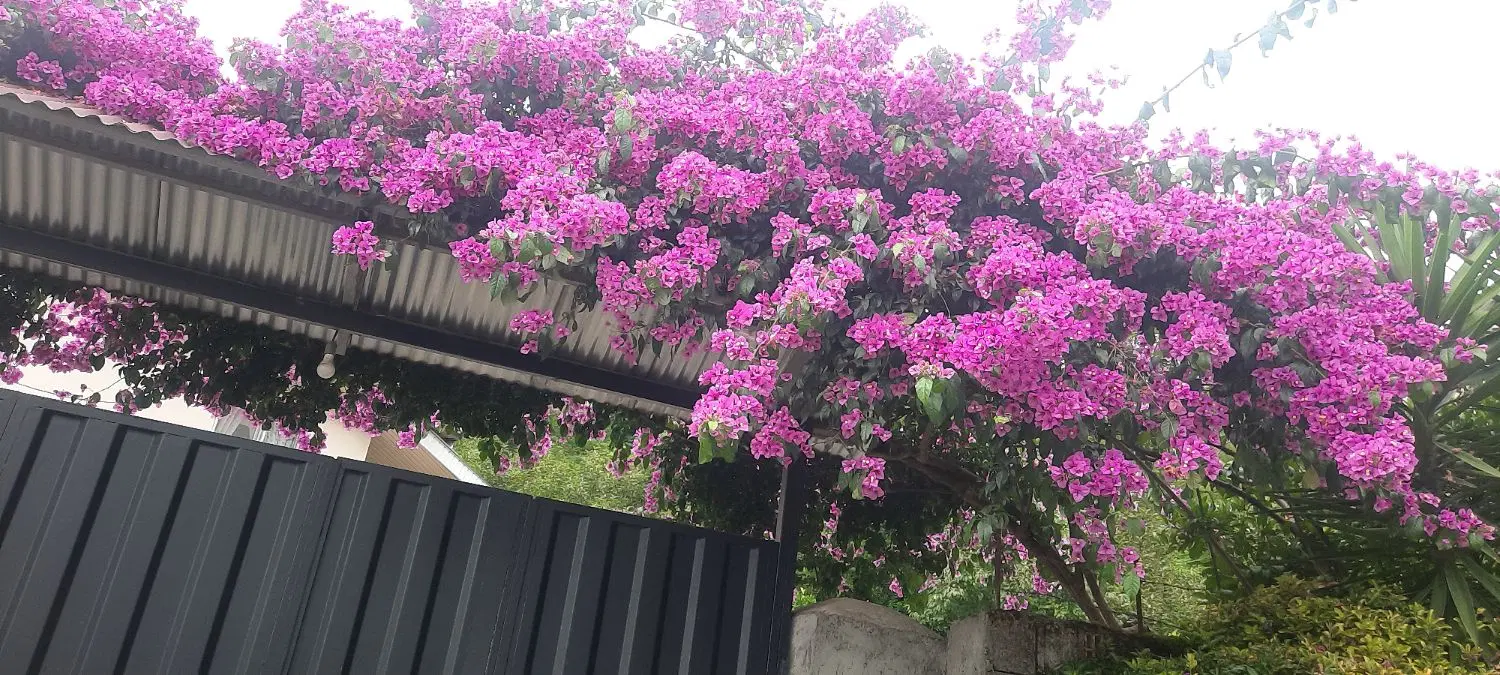 خانه اجاره ای