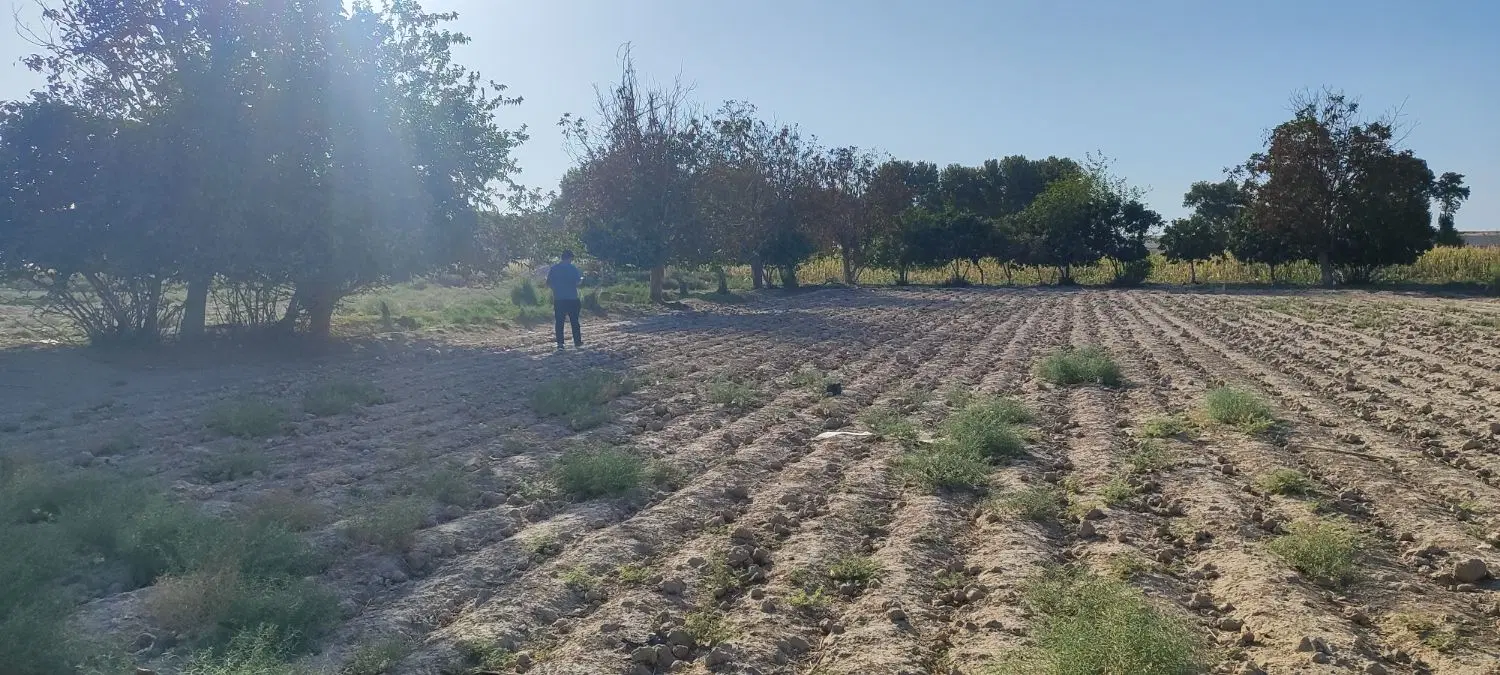 زمین کشاورزی