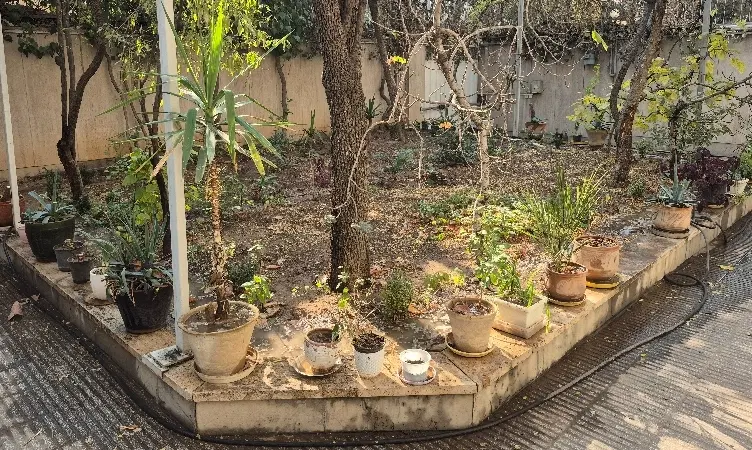 کلنگی 448 متری ، غربی های تهرانپارس